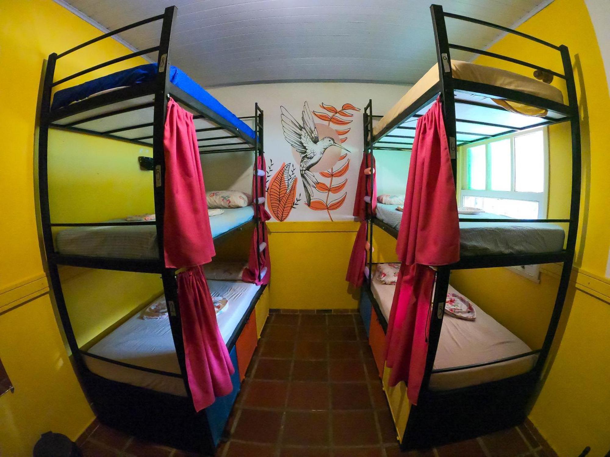 Litera en habitación compartida - Solo mujeres